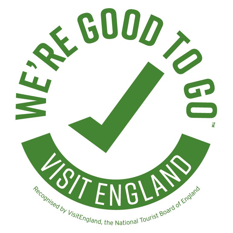 Good to Go logo Good to Go logo