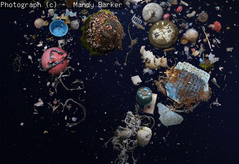 SHOAL Mandy Barker (delete when exhibition finishes Oct 2025)
