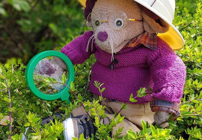 Great North Museum mascot Albany holds a magnifying glass