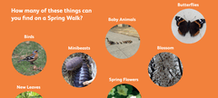GNM Spring Walk Trail