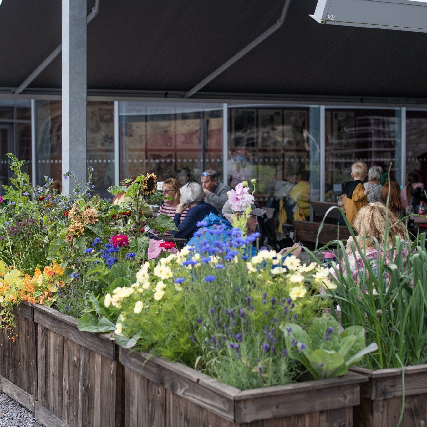 People eating and drinking in the outdoor section of Woodhorn Museum's café.