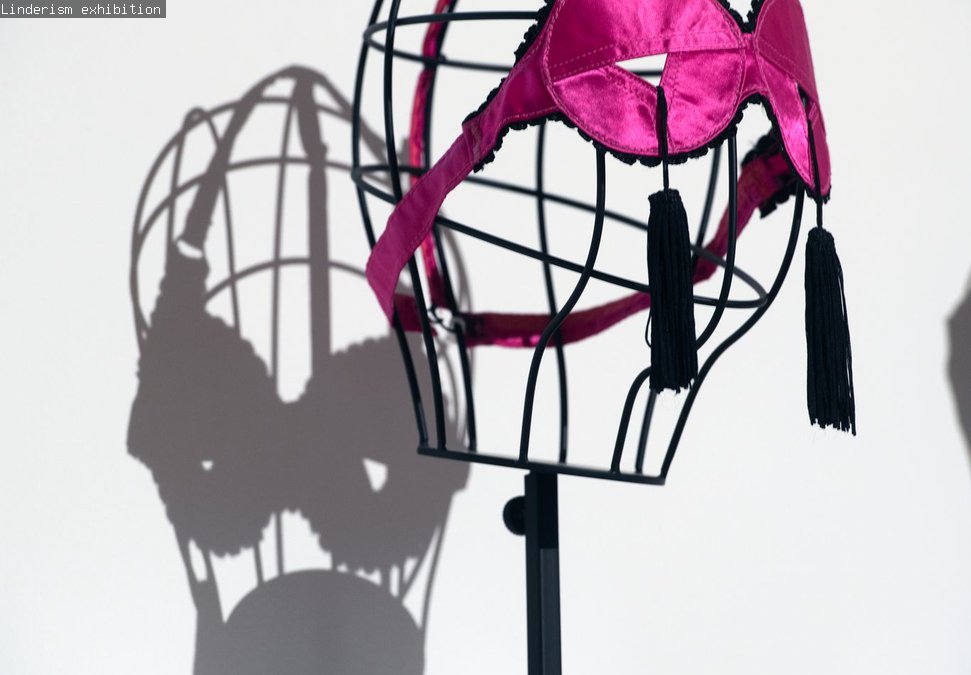 Installation photography Linderism 5