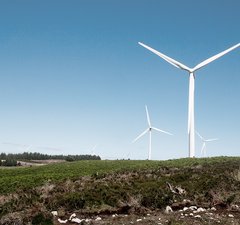 Wind turbines in a field against blue skies