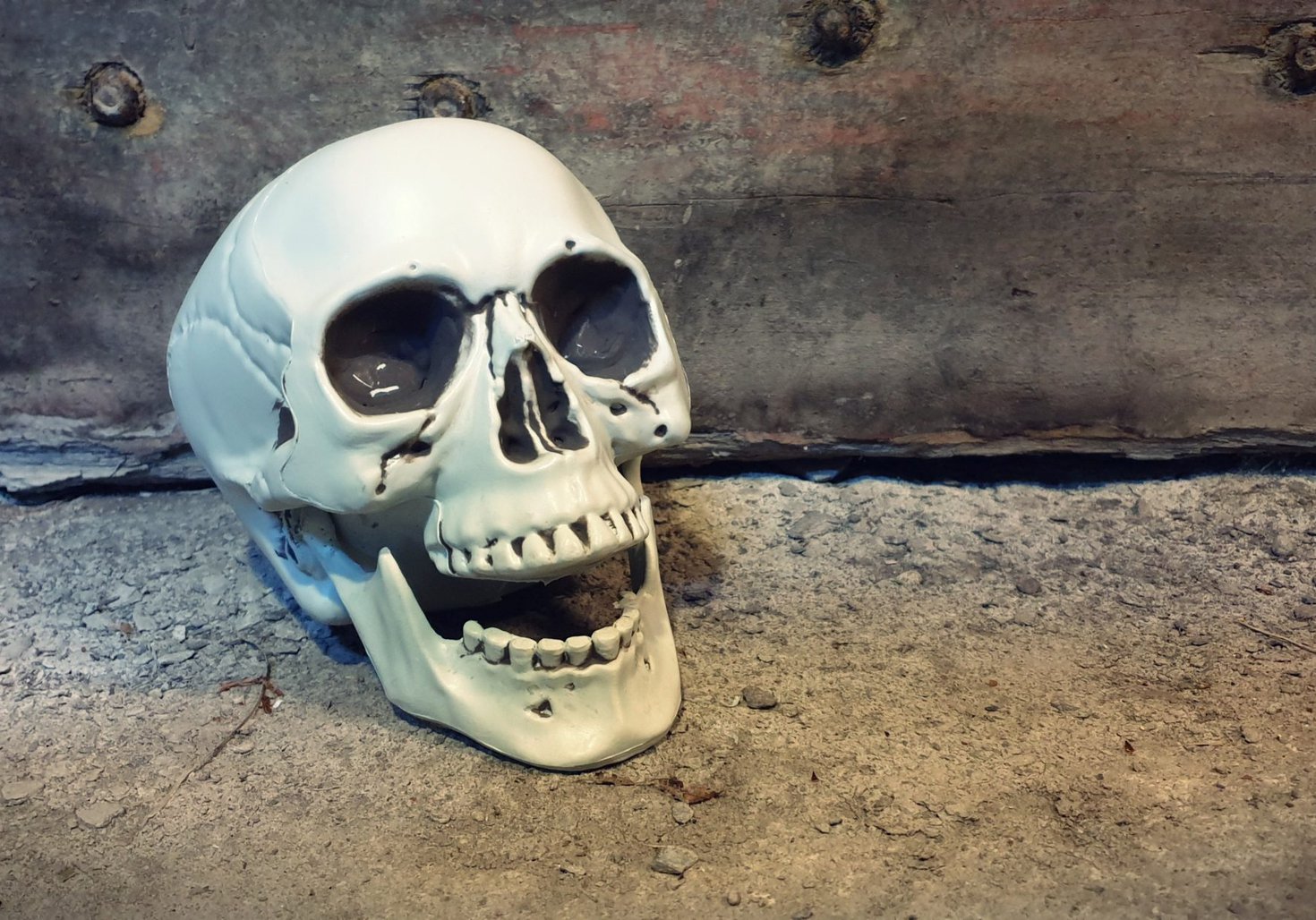 A skull sat in Hexham Old Gaol