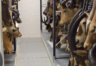 Behind the heads: part 1
