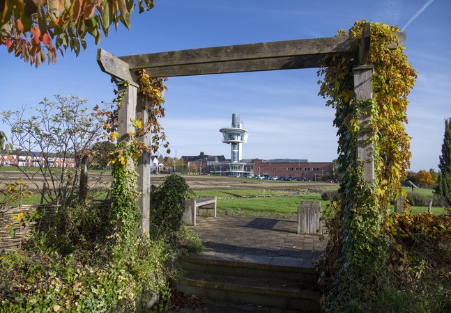 Viewing tower seen through wooden arch covered in vine leaves in autumnal colours