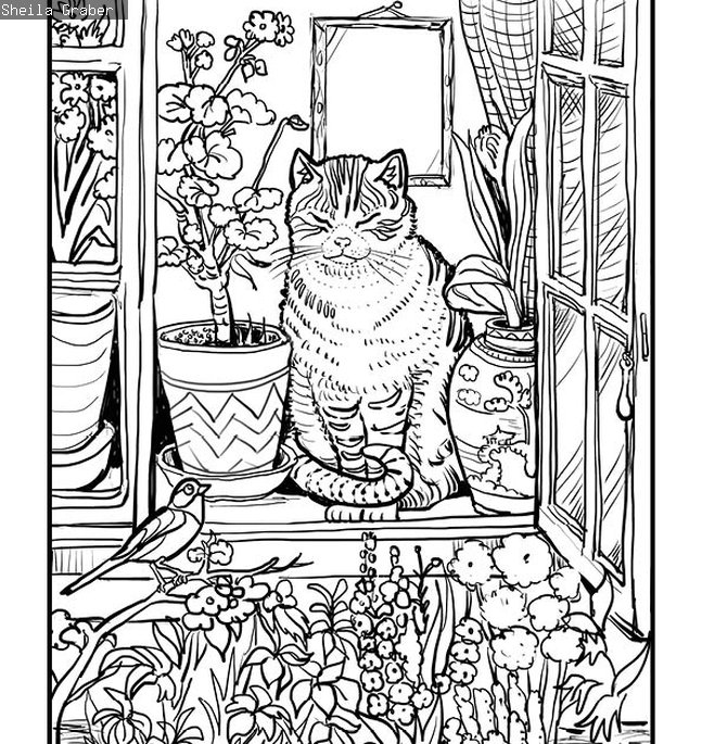 South Shields Museum at Home - colouring sheets | What's On | South ...