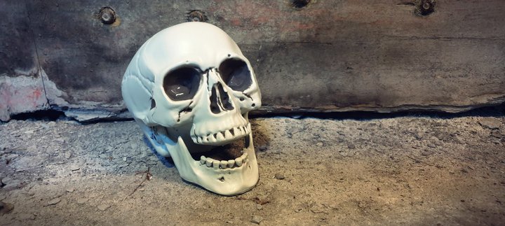 A skull sat in Hexham Old Gaol