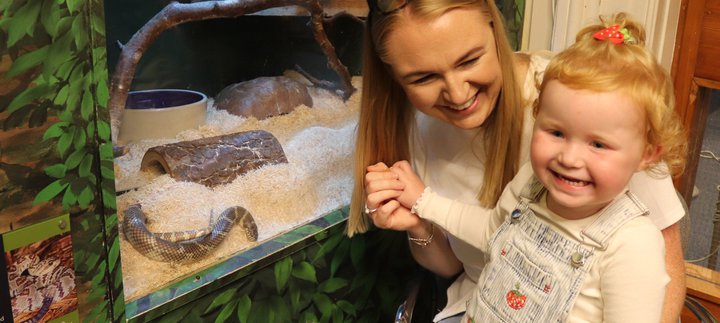 Animal Handling Session woman and child smile in front of creature corner in south shields museum & art gallery