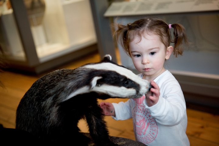 badger girl