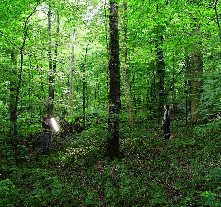 Two people stand in the forest. One points a light at the other.