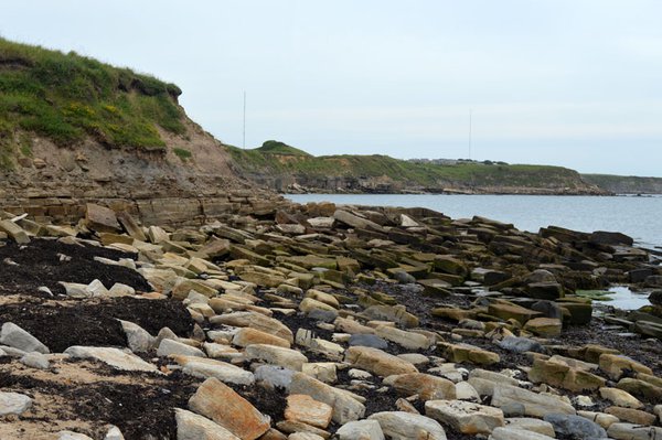 Photo of St. Mary’s Island Sandstone