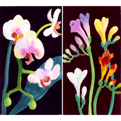 Two watercolours of flowers, orchids on the left and freesias on the right