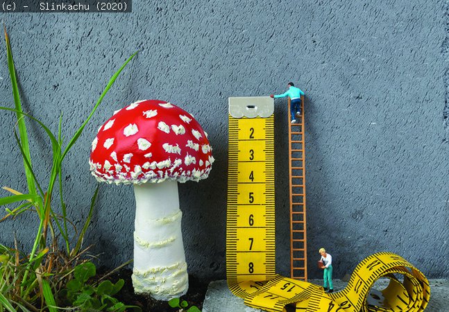 Taking a Measurement