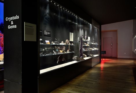 North Museum Christmas Hours 2022 Planning Your Visit | Great North Museum: Hancock