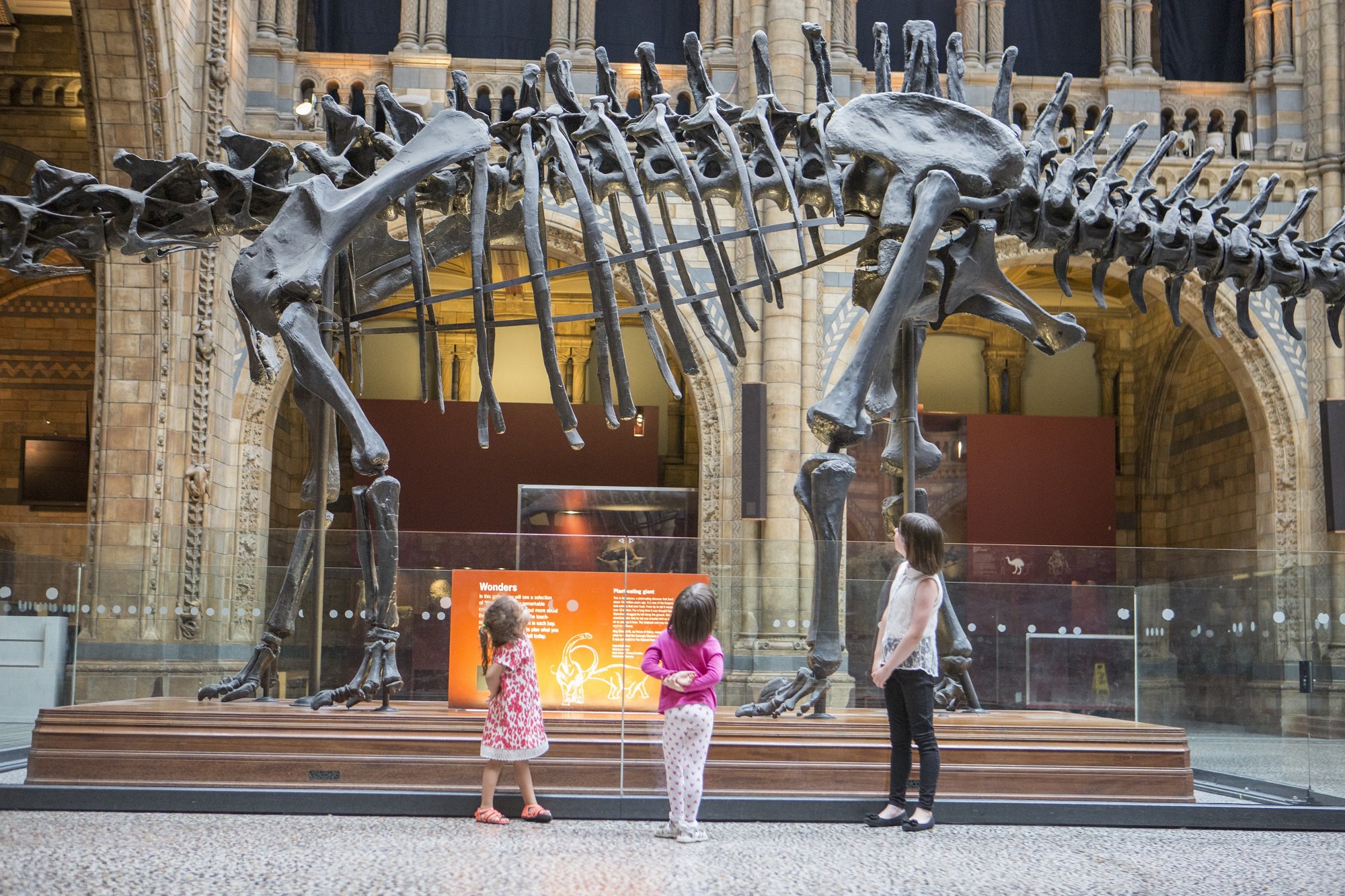 Children with the Diplodocus exhibit at the Natural History Museum, London