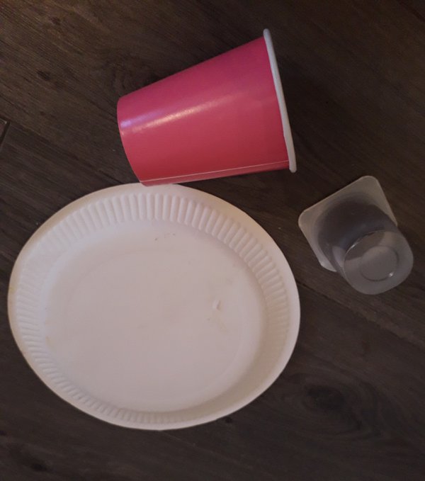 Paper plate and cup