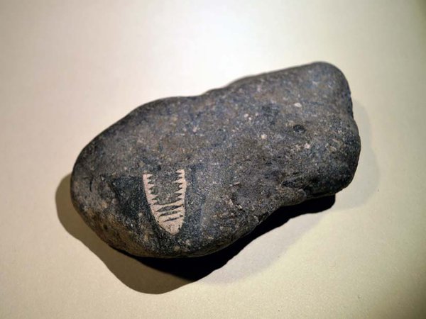 Photo of Crinoid fossil in a Carboniferous limestone pebble.