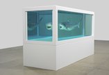 Installation by Damien Hirst