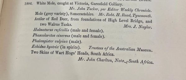 Transaction records in the Natural History Society of Northumbria archives — list of donations in the year 1886 with highlighted section showing the donations from Australian Museum. Transaction records in the Natural History Society of Northumbria archives — list of donations in the year 1886 with highlighted section showing the donations from Australian Museum.