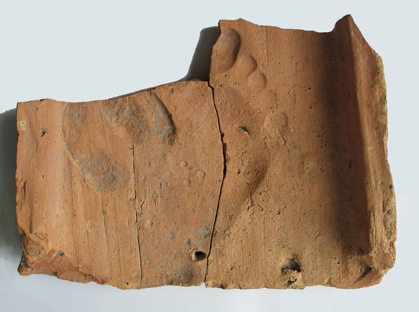 Footprint on tile Footprint on tile