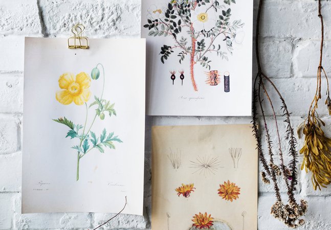 Painting and drawing
