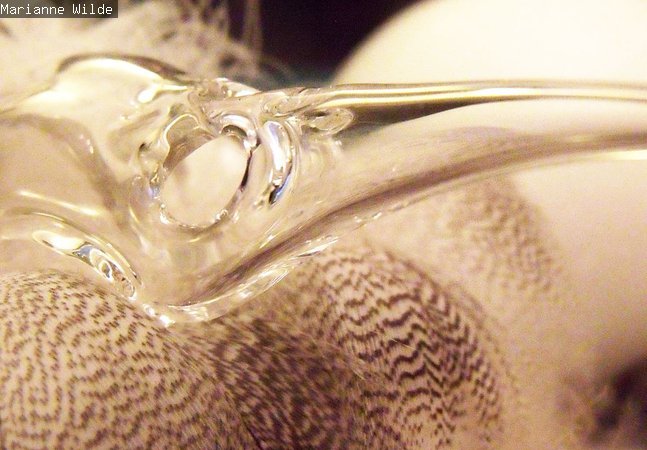 Glass bird