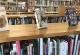 Library shelves and books
