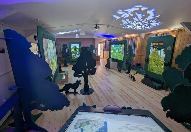 The Missing Lynx Exhibition
