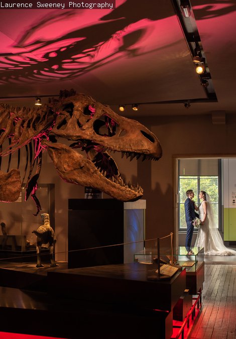 Great North Museum: Hancock wedding photograph by Laurence Sweeney Photography