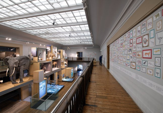 View of the Living Planet gallery at Great North Museum