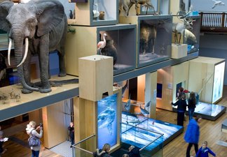 The Living Planet gallery - with a replica life size elephant, a shark and other animals