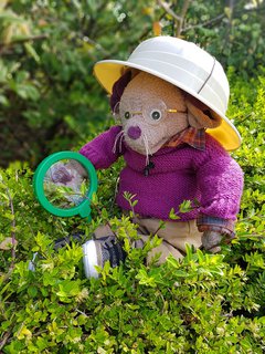 Great North Museum mascot Albany holds a magnifying glass