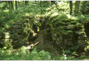 Wheelbirks Furnace