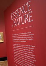 Exhibitions Unpacked: Essence of Nature