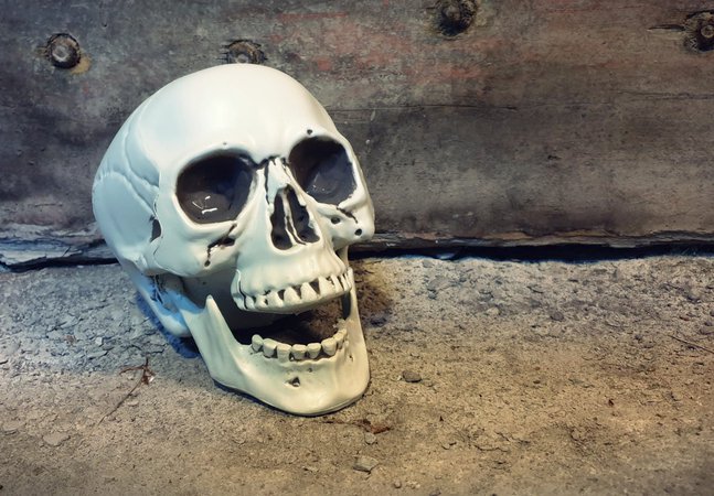 A skull sat in Hexham Old Gaol