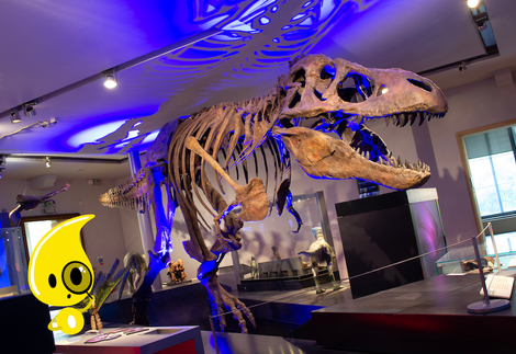 T.rex and Podi mascot  - Illustration of a yellow character with magnifying glass