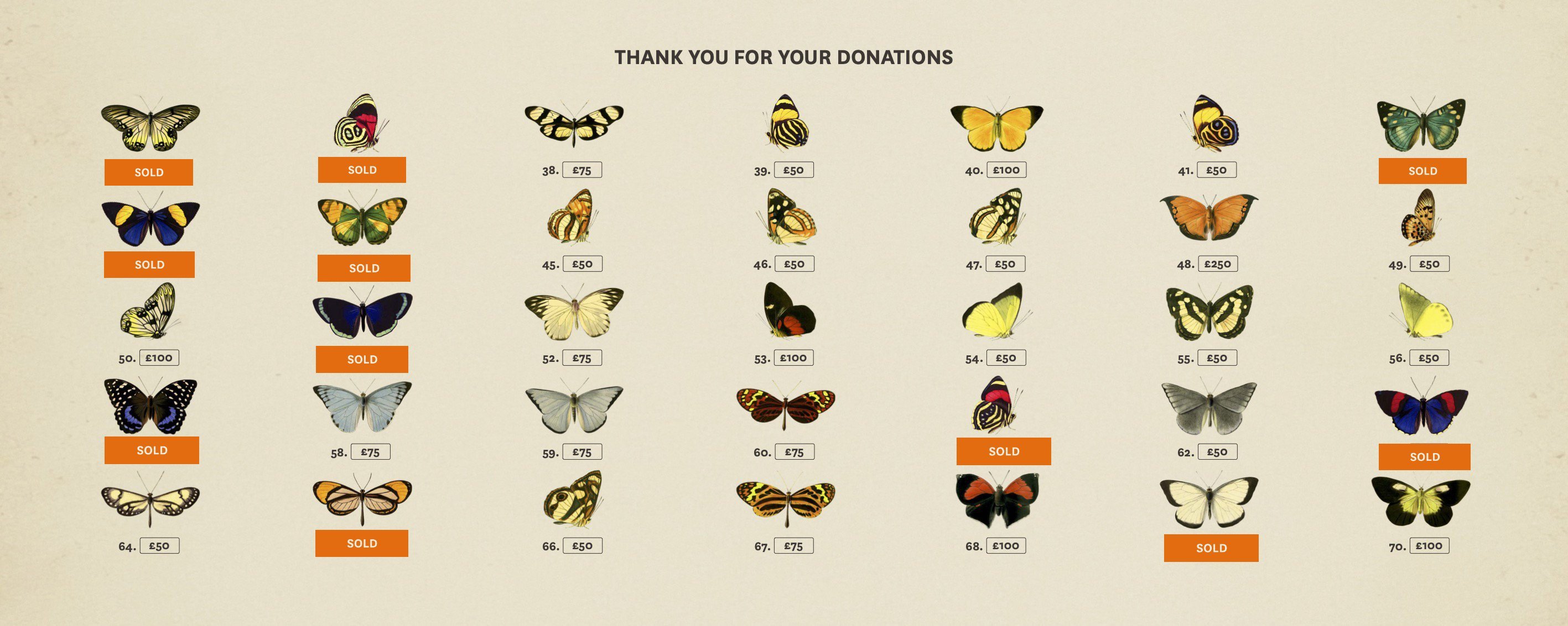 	Illustrated butterflies