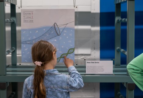 Young girl looking at Picture This exhibition