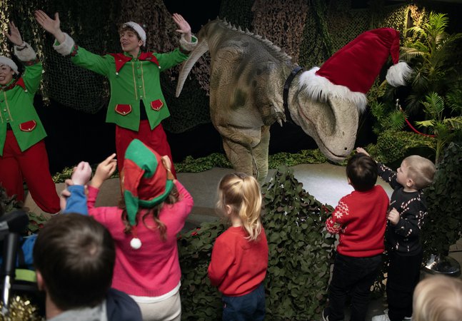 Festive dino show - kids, elves and a t-rex costumed peformer