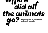 Bold text reading Where did all the animals go?