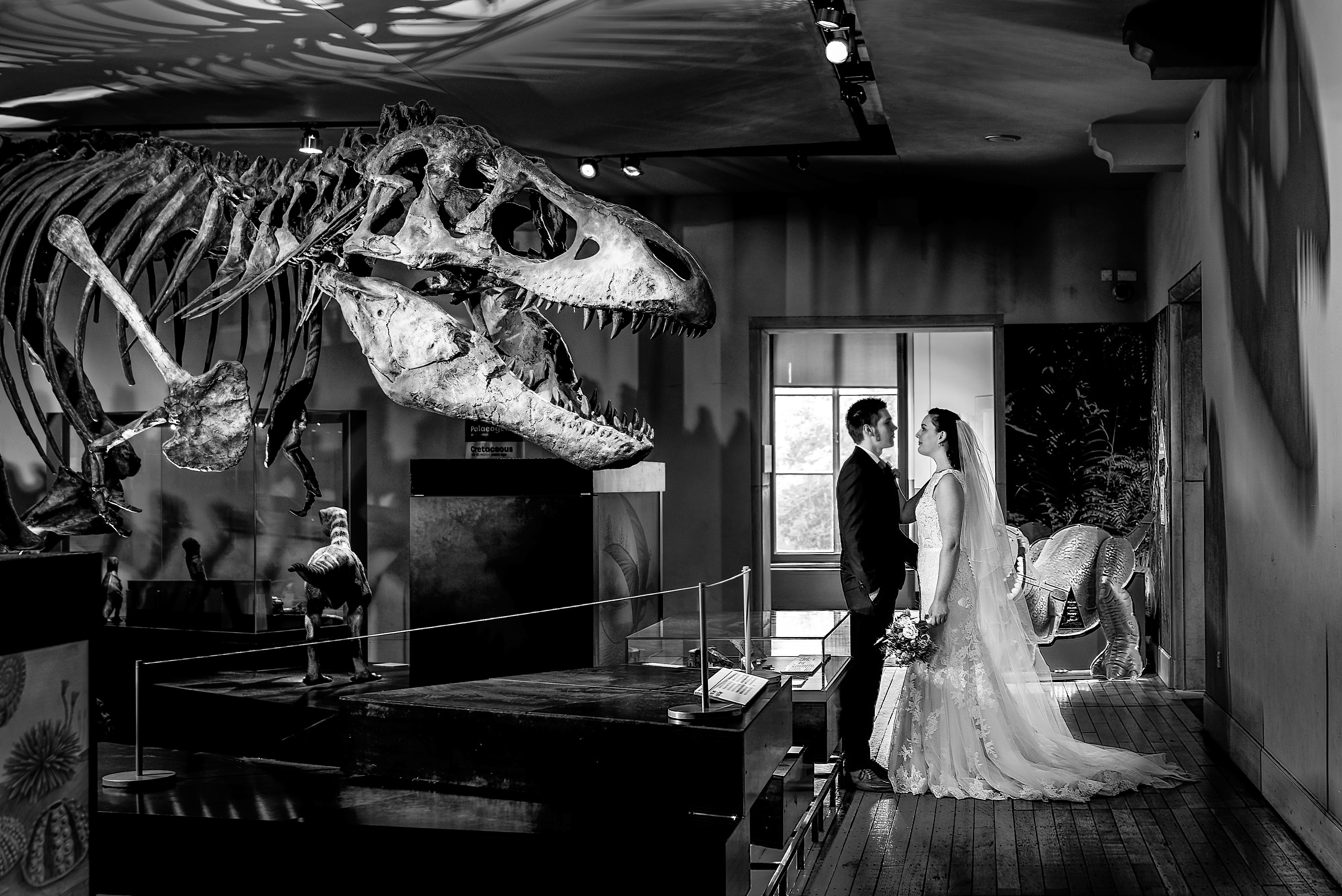 Great North Museum: Hancock wedding photograph by Laurence Sweeney Photography Great North Museum: Hancock wedding photograph by Laurence Sweeney Photography