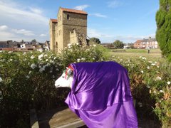 Model sheep in purple cloak next to the rose bush with West Gate in background