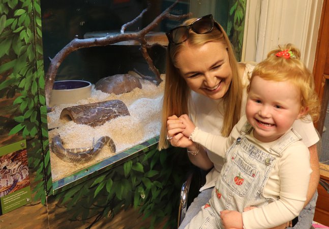 Animal Handling Session woman and child smile in front of creature corner in south shields museum & art gallery