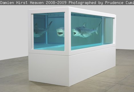 Installation by Damien Hirst