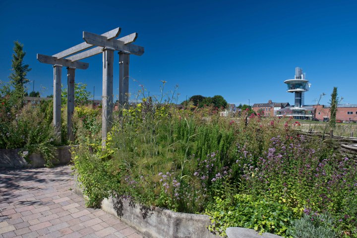 Garden plants in the foreground with viewing tower in background