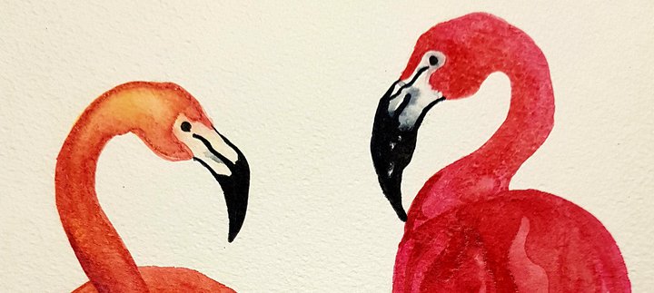 flamingo watercolour