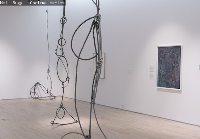 Rugg’s captivating hanging wire sculptures called the Anatomy series.