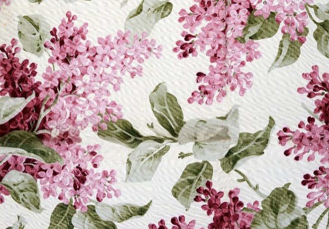  Floral images form the archives