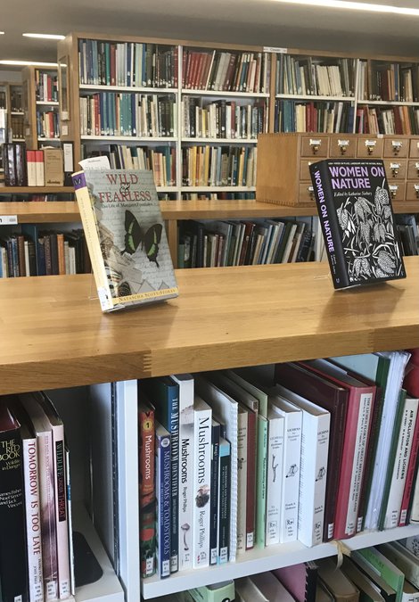 Library shelves and books